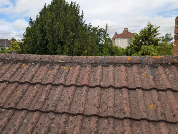 Concrete interlocking tile roof with moss growth on a house in Newcastle before tile repairs
