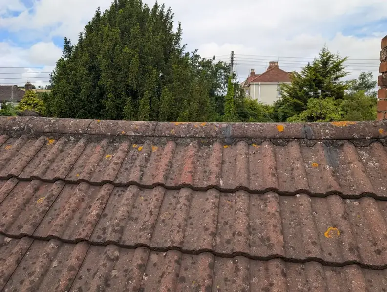 Moss covered concrete tile roof of the type common on Gateshead homes