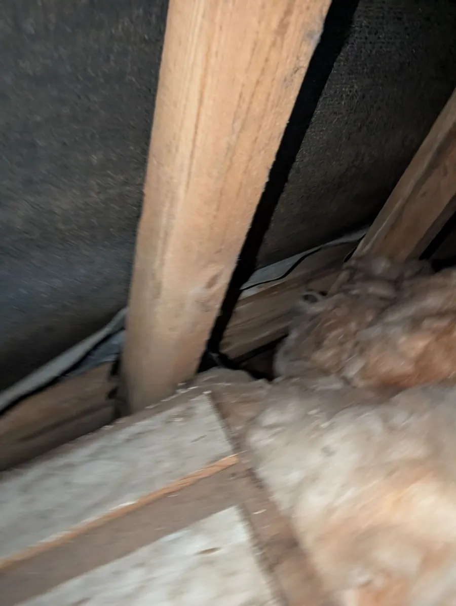 Roof opened up showing a new timber batten and underfelt during a tile repair